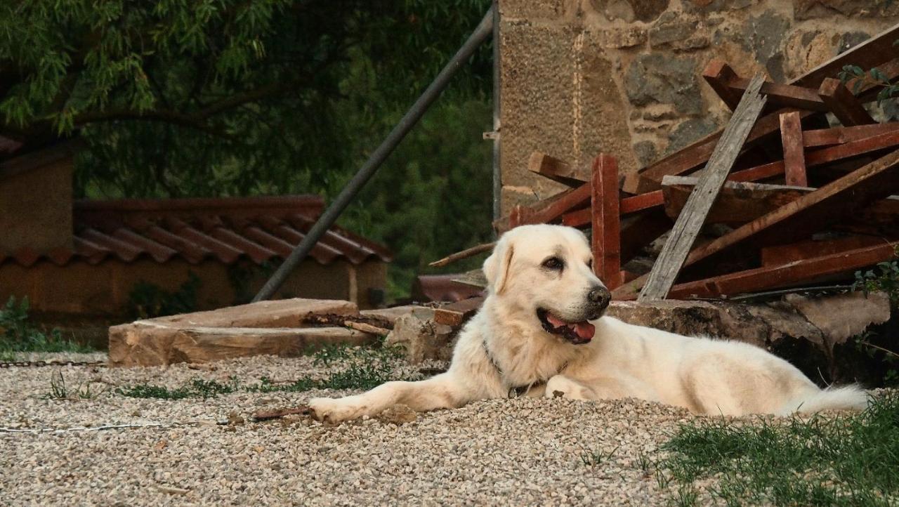 Masia La Clariana Castelltallat Buitenkant foto